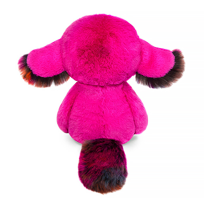 Лорик Тёко (фуксия) 