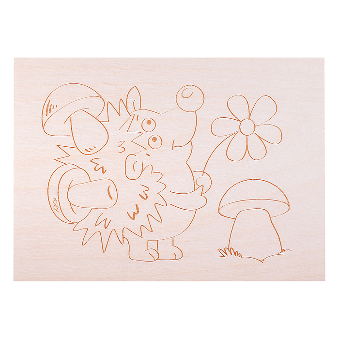 Доски для выжигания 10шт "Новичок"