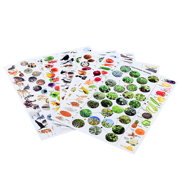 Фото к товару Игра Электровикторина "Живая природа" Игра Электровикторина "Живая природа"