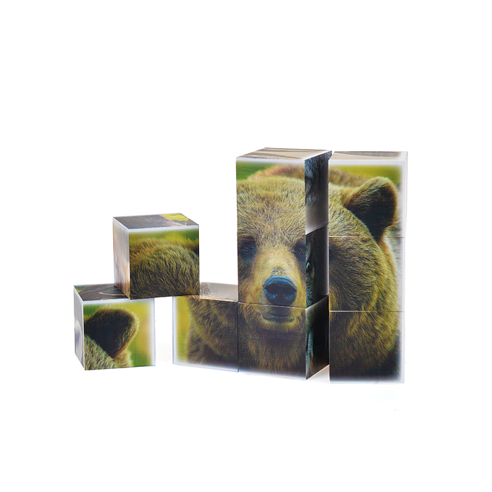 Кубики "Лесные жители" 9 шт