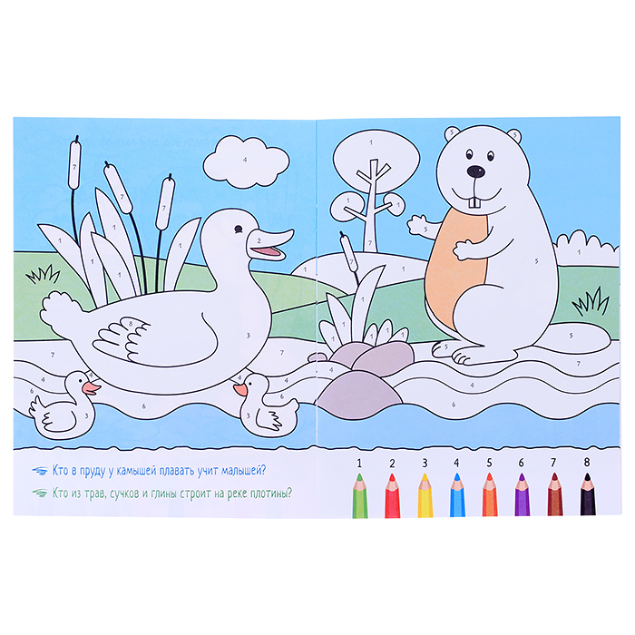 Раскрашиваем по цифрам. В реке