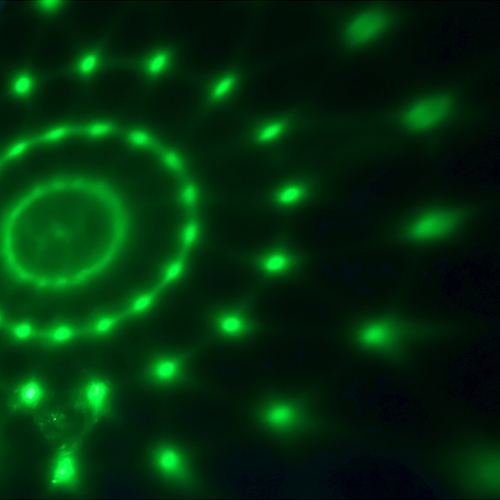 Игрушка JD133-52A "Проектор Динозаврик" в пакете