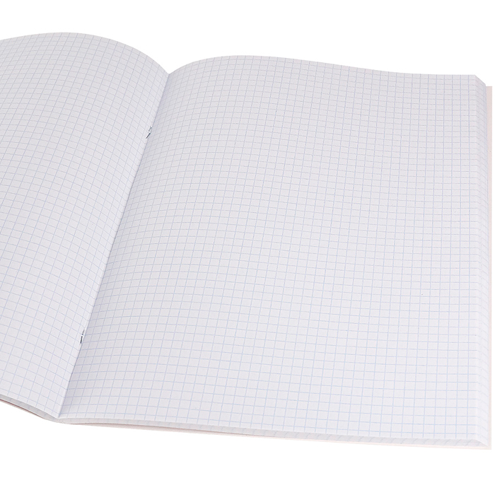 Тетрадь 96л. клетка "Неоновый жираф-1" цвет.мелов.обл., твин-лак А4