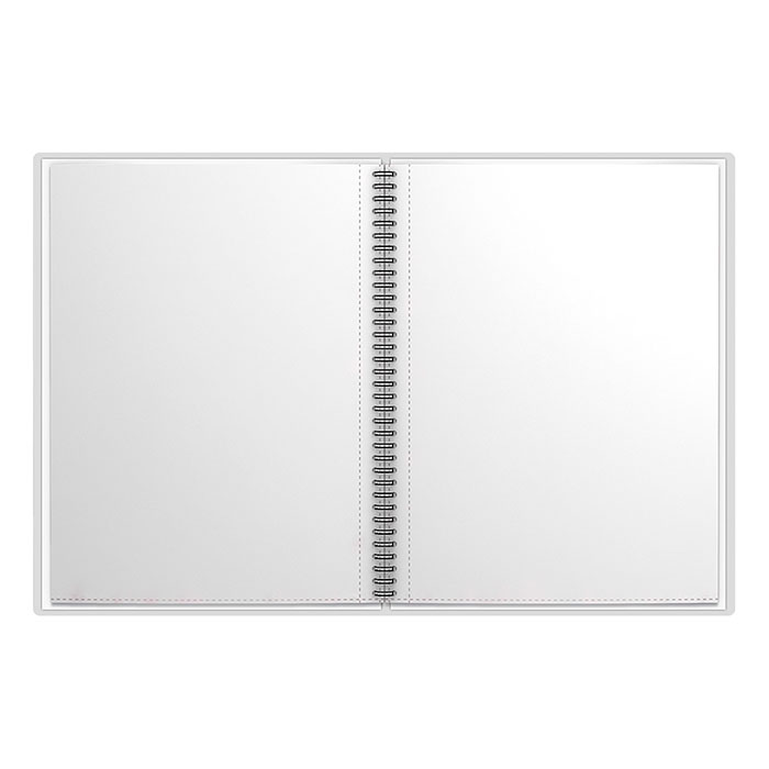 Папка-портфолио пластиковая Ladder of Success, c 40 карманами, A4