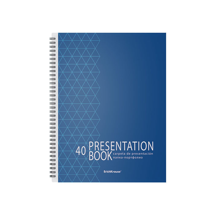 Папка-портфолио пластиковая Ladder of Success, c 40 карманами, A4