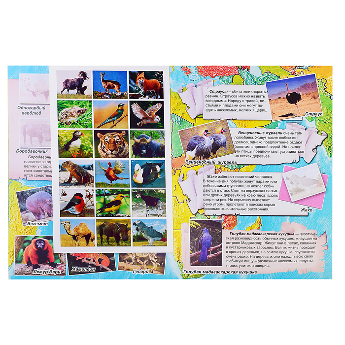 Животные и птицы нашей планеты (Атласы с наклейками для детей)