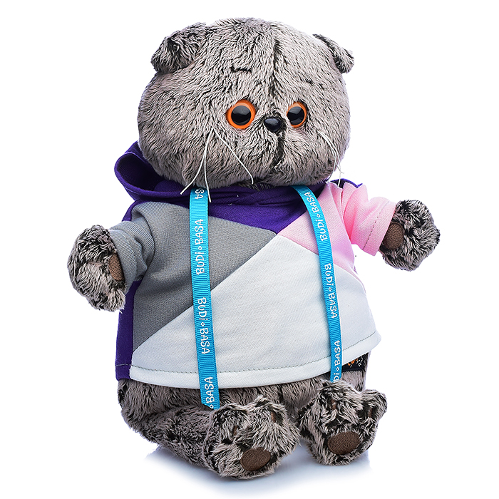 Кот Басик в разноцветной толстовке