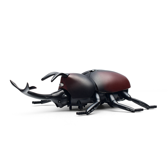 Жук 9996 в коробке