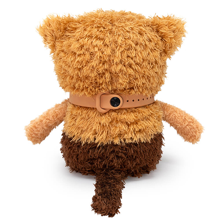 Кофейные коты Кортадо