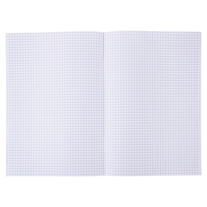 Бизнес блокнот "Attomex. Visa" A4 (210 ммx290 мм) 120 стр, белая бумага 70 г/м² в клетку, печать в 1