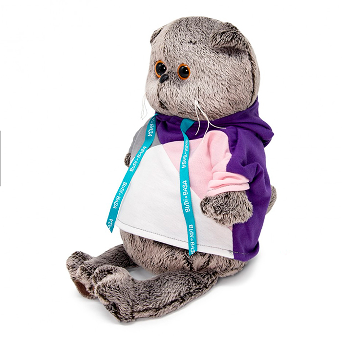 Кот Басик в разноцветной толстовке