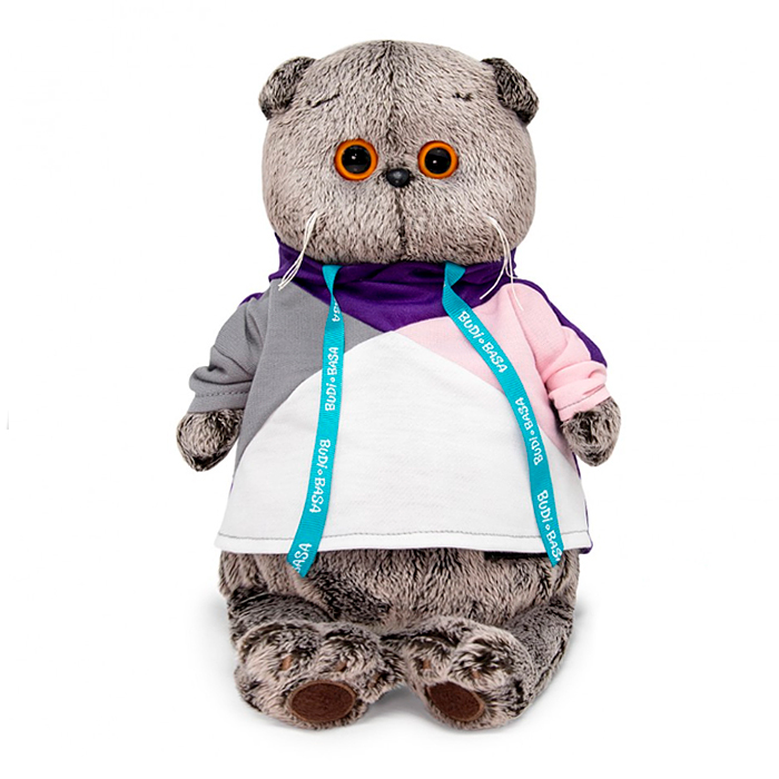 Кот Басик в разноцветной толстовке