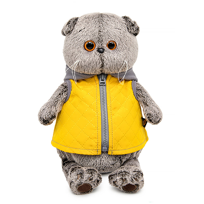 Кот Басик в желтой жилетке с серым капюшоном