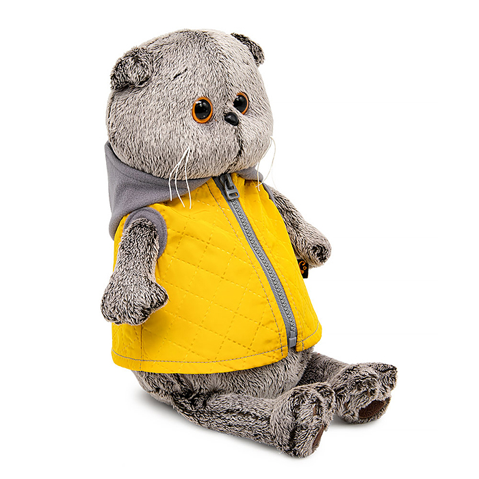 Кот Басик в желтой жилетке с серым капюшоном