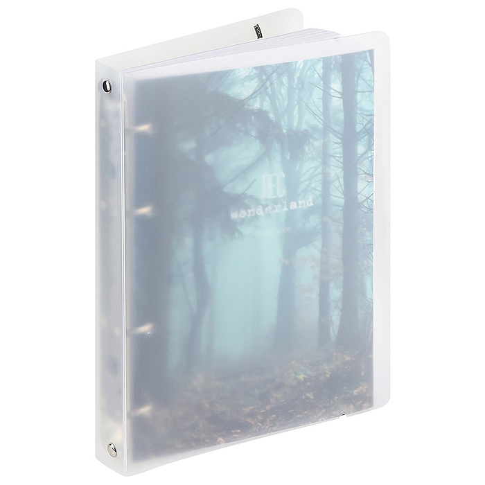 Тетрадь 120л. клетка "Туманный лес"