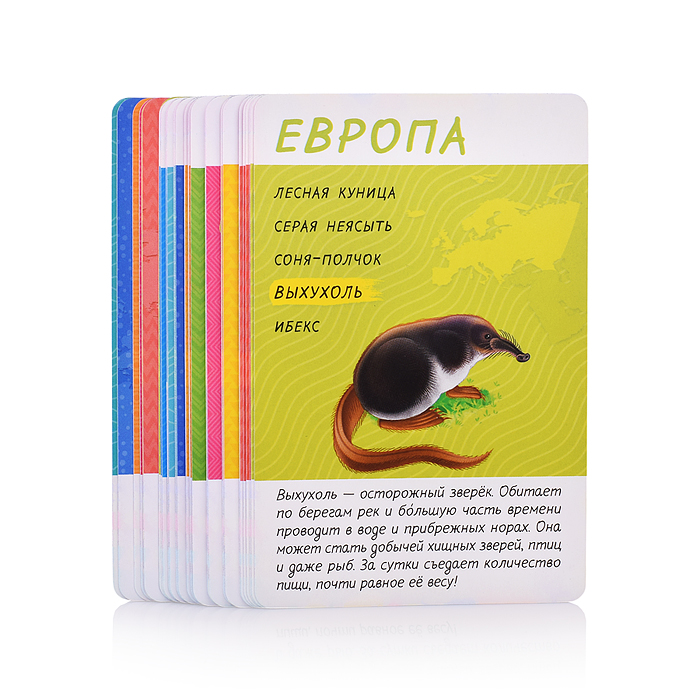 Фото к товару Игра карточная. Спроси меня - Кто где живет. 54 карточки. Игра карточная. Спроси меня - Кто где живет. 54 карточки.