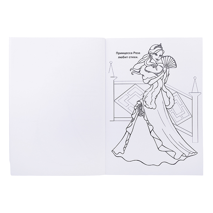 Книга-раскраска. Супер раскраска. Веселая кисточка. Принцессы 0+