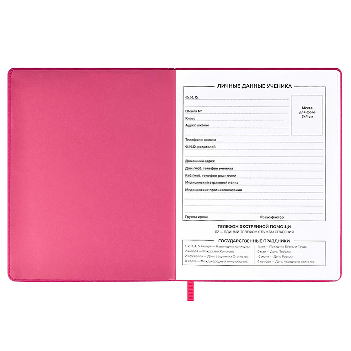 Дневник 1-11 класс "Кеды" иск.кожа , аппликация  А5+; твёрдый переплёт