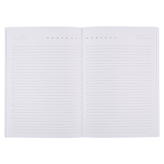 Фото к товару Ежедневник недатированный "Attomex. Even" A5, белая бумага 70 г/м², салатовый Ежедневник недатированный "Attomex. Even" A5, белая бумага 70 г/м², салатовый