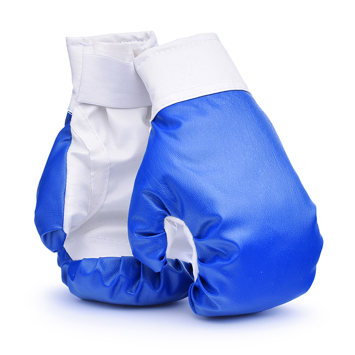 Набор детский игровой "Я-Чемпион" 4кг синий (перчатки, груша)