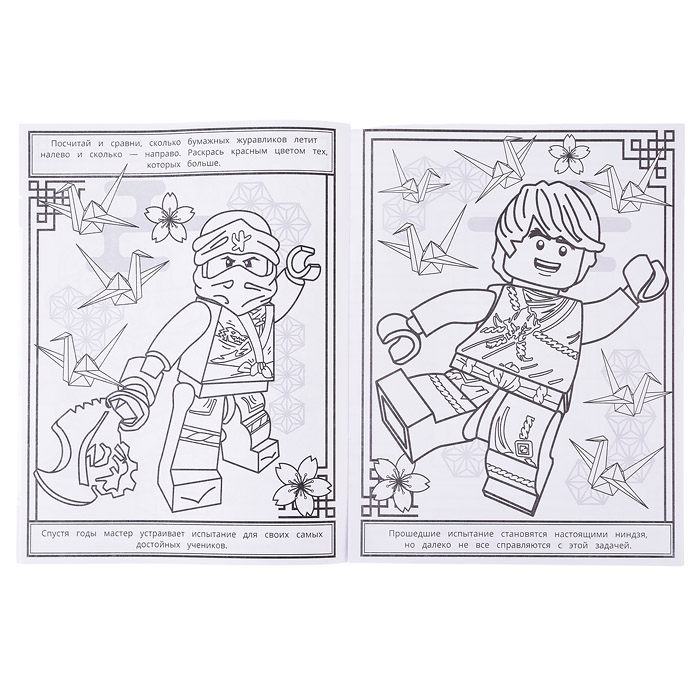 Путь ниндзя. Раскраска с лабиринтом. 