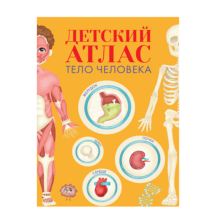 Детский Атлас "Тело Человека" 