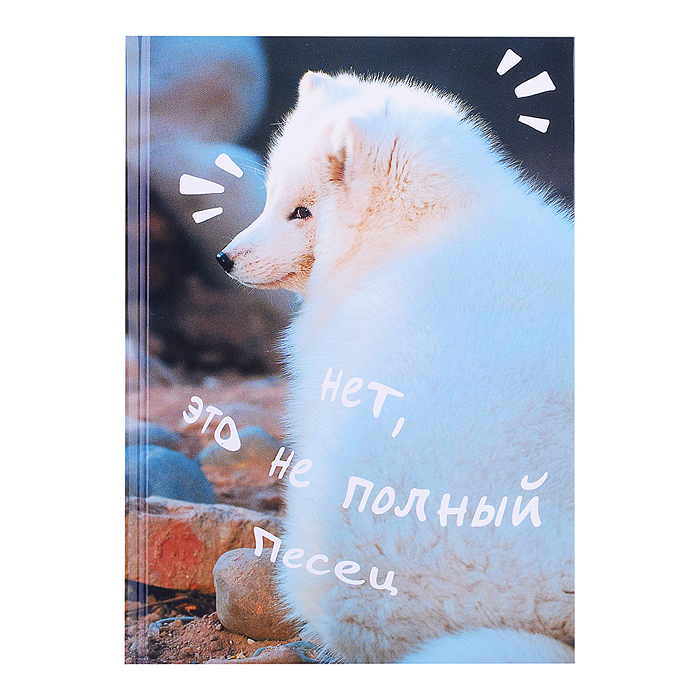 Книги для записей А5 "Песец" (145х210) 80л. 7БЦ, глянцевая ламинация. 