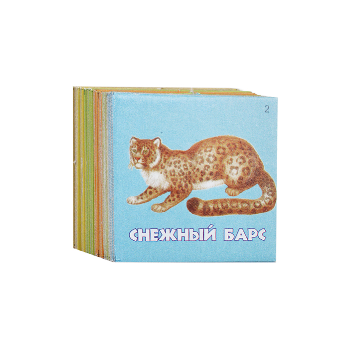 Лото "Живая география"