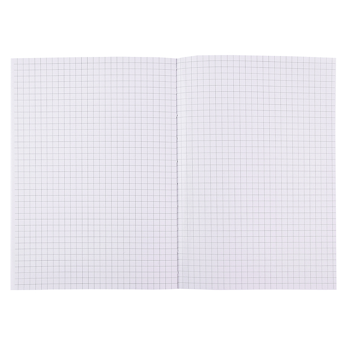 Фото к товару Записная книжка "Caption" A5 (145 ммx205 мм) Записная книжка "Caption" A5 (145 ммx205 мм)