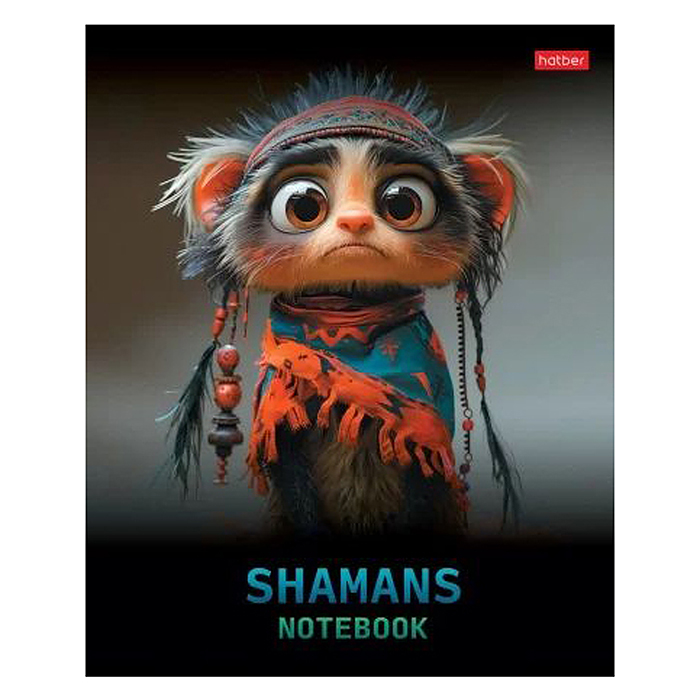 Тетрадь 48л. клетка "Шаманы" 5 диз.