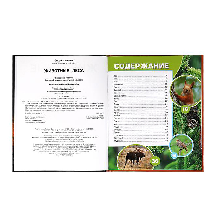 Животные леса. Энциклопедия. 