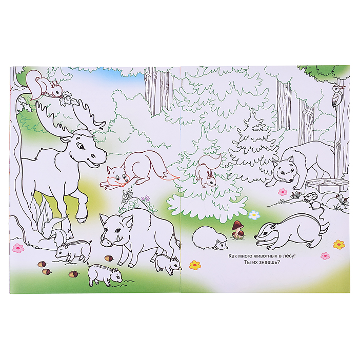 Книга Наклей-ка Звезды сцены 0+