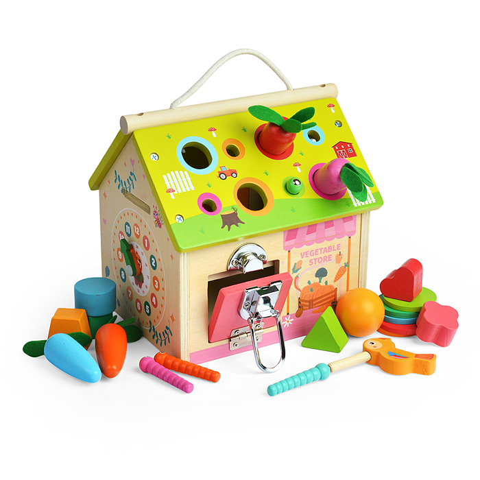 Сортер D1821 "Развивающий домик"