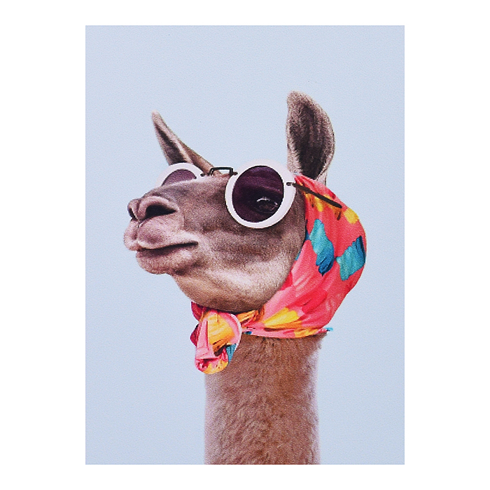 Мозаика 00-4415 "Модная лама" 20*30см