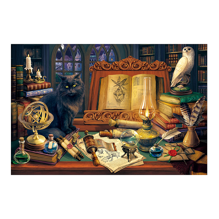 Холст с красками 40х50 по номерам "Магический натюрморт" (30цв.) 