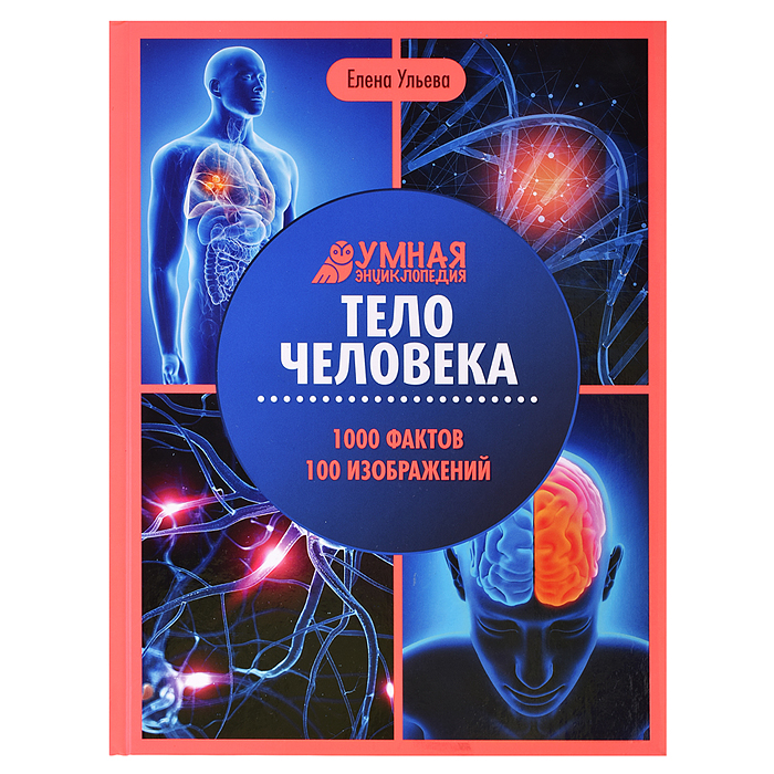 Тело человека. - Изд. 6-е; авт. Ульева; сер. Умная энциклопедия Тело человека. - Изд. 6-е; авт. Ульева; сер. Умная энциклопедия