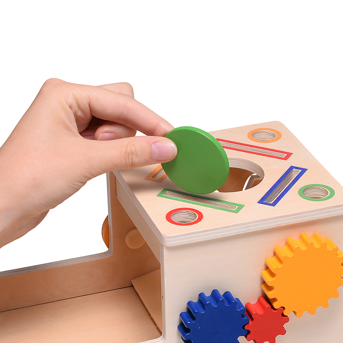 Игра развивающая D2022 "Сортер"