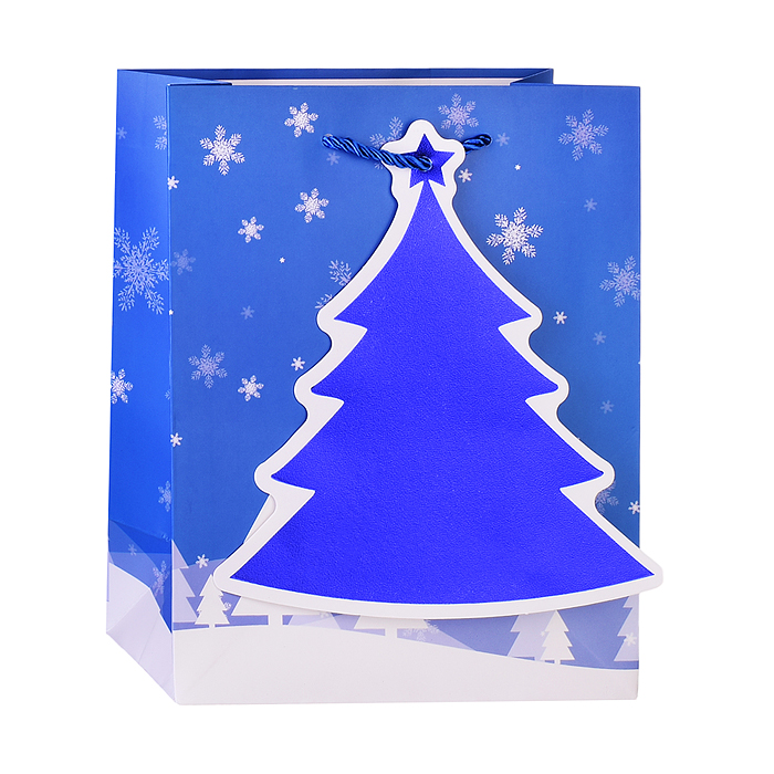 Пакет подарочный 00-4811 "Сказочный Новый год!" 18*23*10см.