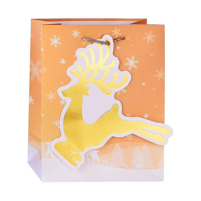 Пакет подарочный 00-4811 "Сказочный Новый год!" 18*23*10см.