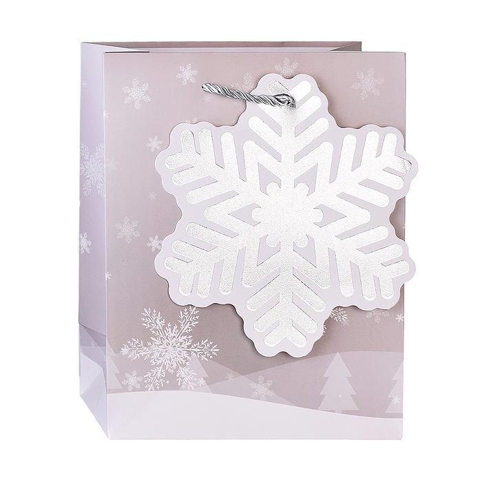 Пакет подарочный 00-4811 "Сказочный Новый год!" 18*23*10см.