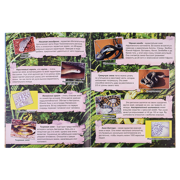 Ядовитые обитатели планеты (Атласы с наклейками для детей)