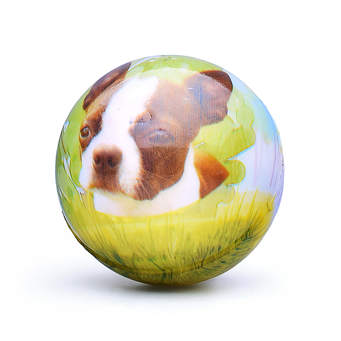 Мяч мягкий 00-5036 "Собачка" (5 см) в пакете