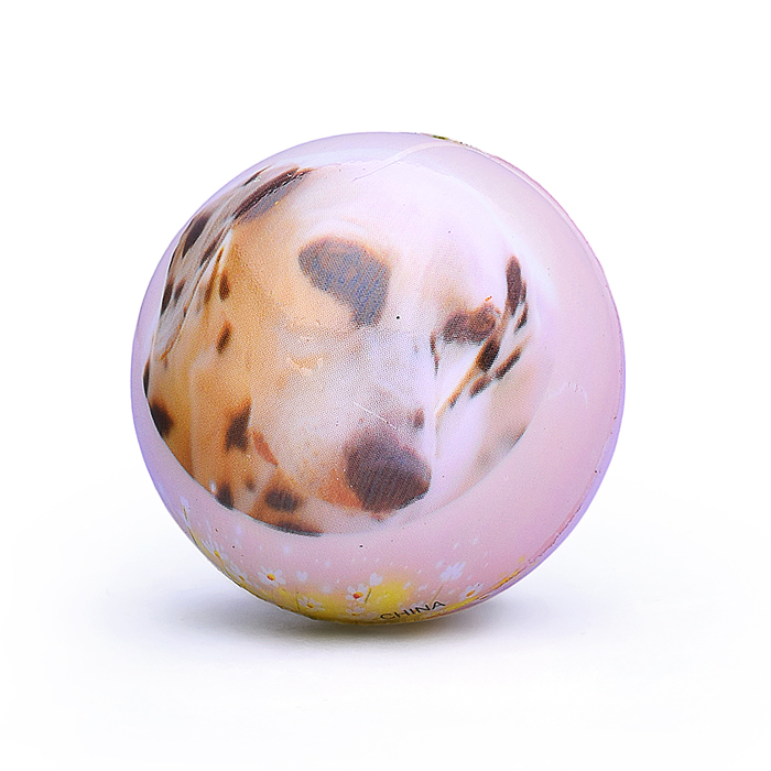 Мяч мягкий 00-5036 "Собачка" (5 см) в пакете