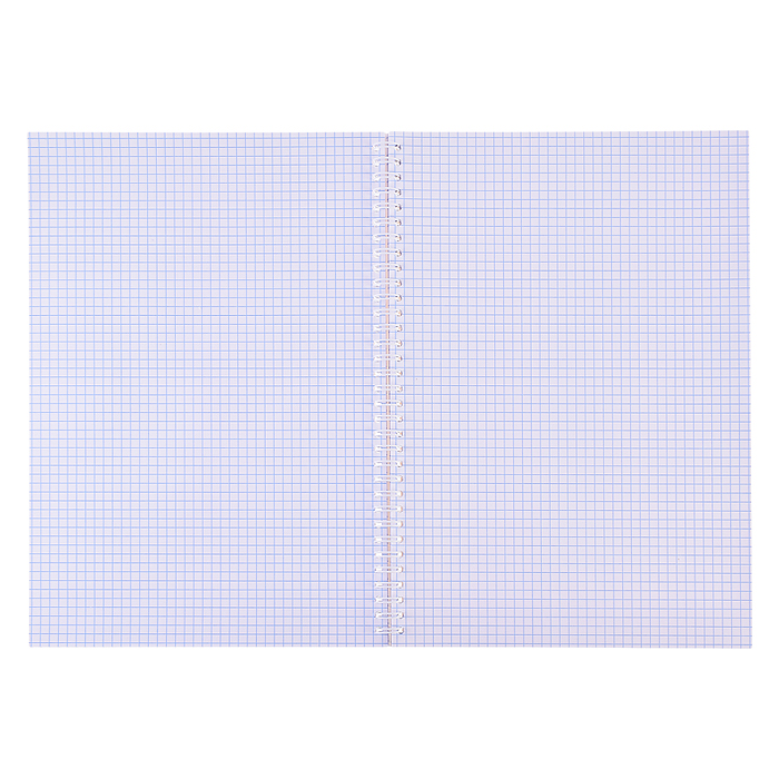 Фото к товару Тетрадь 96л. клетка "Малыш на отдыхе" А4 на гребне Тетрадь 96л. клетка "Малыш на отдыхе" А4 на гребне