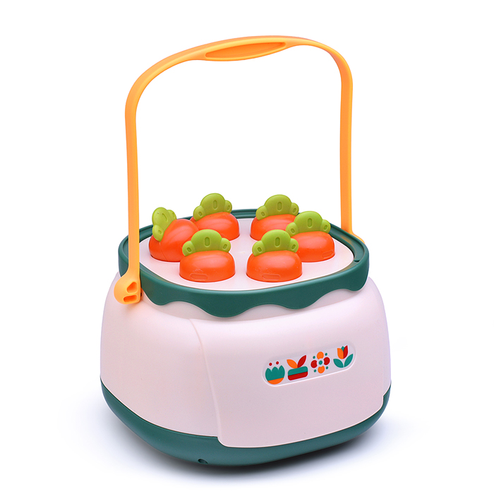 Развивающая игрушка HE8078 "Сортер-цветочки" в коробке