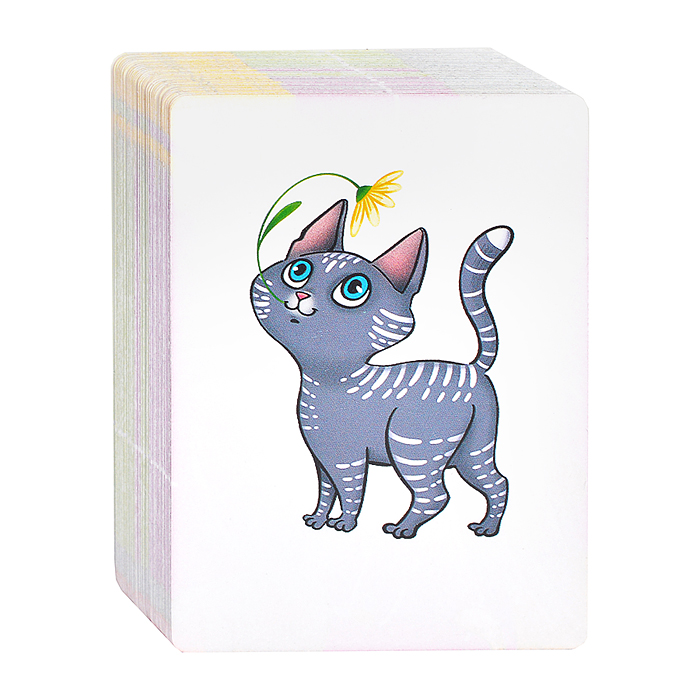 Компакт. Котокомбо