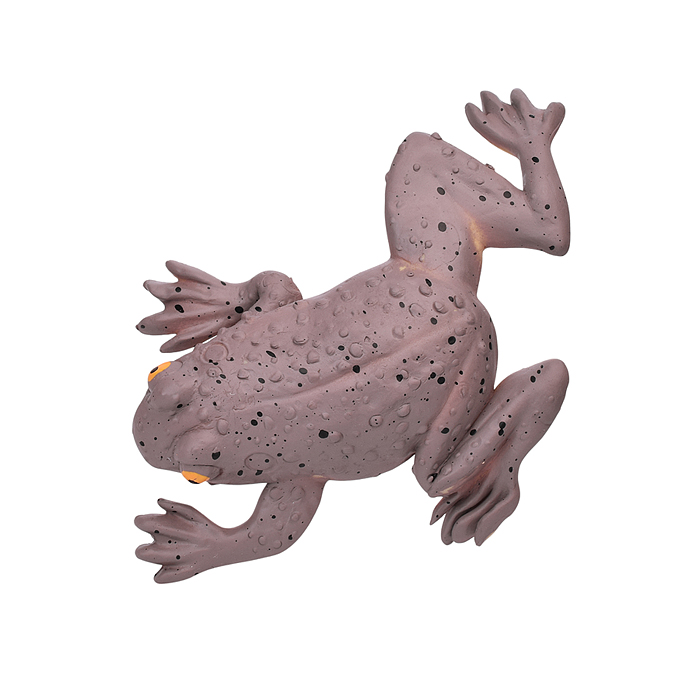 Фото к товару Игрушка-антистресс 00-4767 "Прыгающая лягушка" Игрушка-антистресс 00-4767 "Прыгающая лягушка"