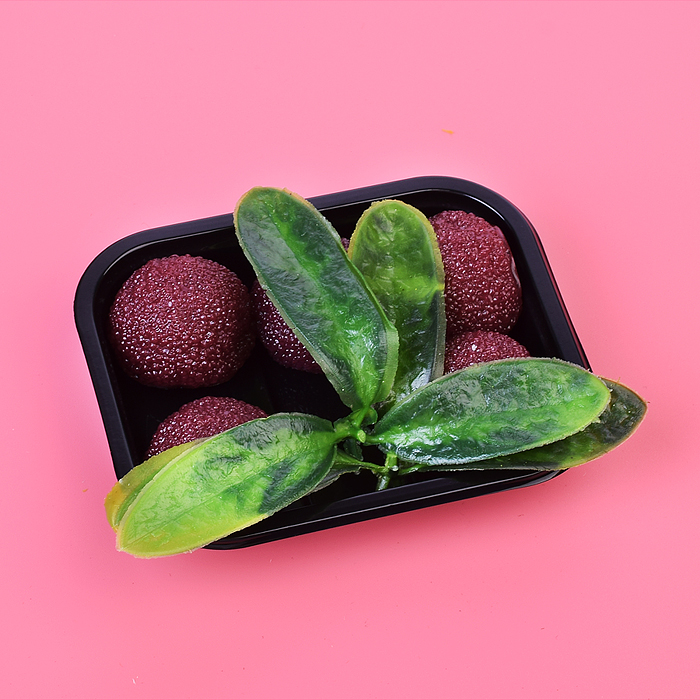 Игрушка -антистресс 00-5509 "Ягодки с листочками" в пакете