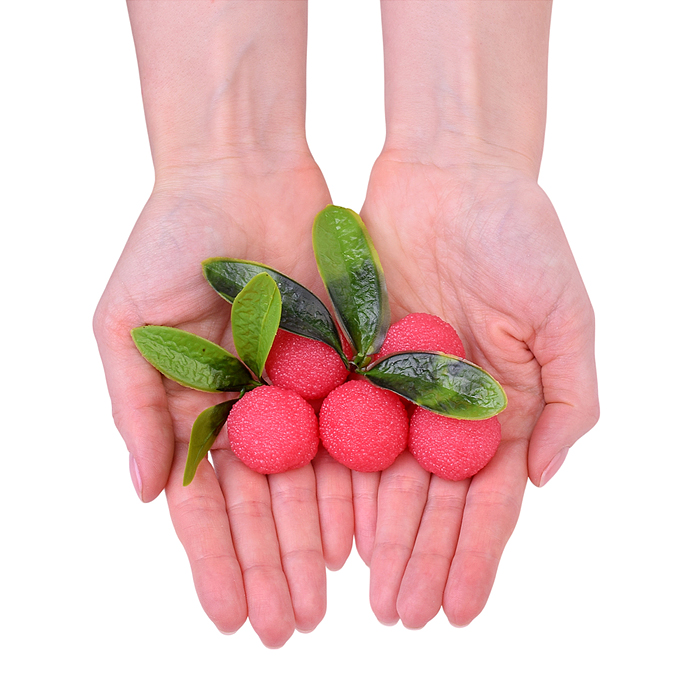 Игрушка -антистресс 00-5509 "Ягодки с листочками" в пакете