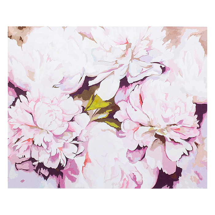 Холст с красками 40х50 по номерам "Бледные пионы" (в коробке) (30цв.) 